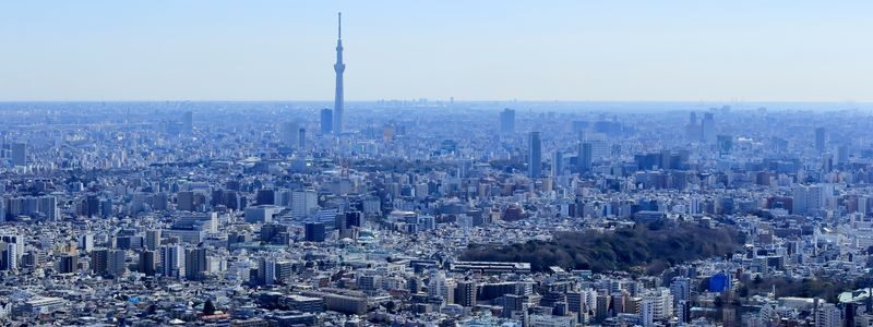 Sunshine 60 Observatory Tenbou Park Admission in Tokyo - Tokyo from the 60th floor