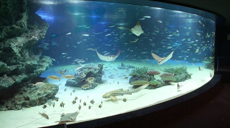 Sunshine Aquarium Ticket in Tokyo - Start with the animals above the city