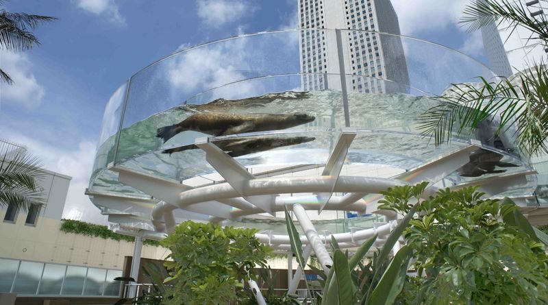 Sunshine Aquarium Ticket in Tokyo - What the size means for your visit