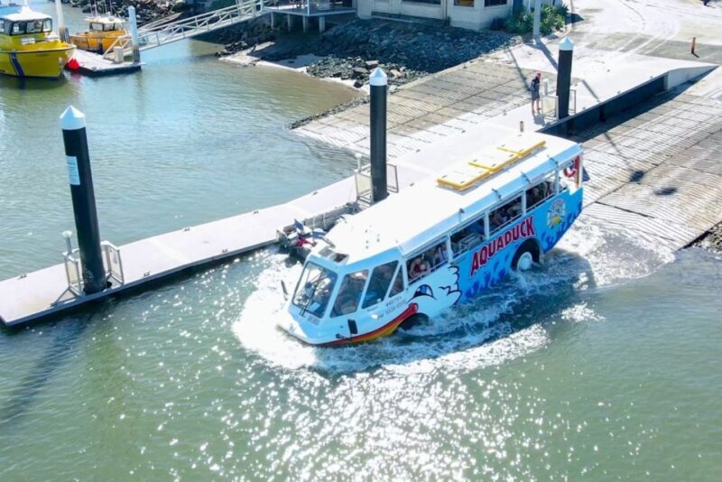 Sunshine Coast: 1-Hour Land and Water Tour - Sunshine Coast: 1-Hour Land and Water Tour - A Fresh Way to See Mooloolaba