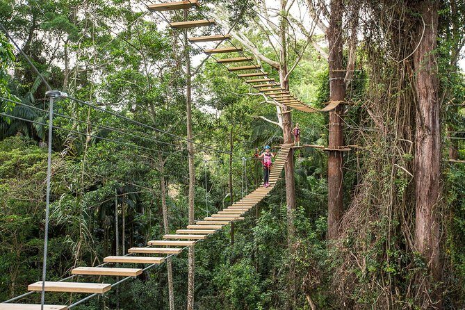 Sunshine Coast Adventure Park TreeTop Challenge - Discover the Sunshine Coast Adventure Park TreeTop Challenge