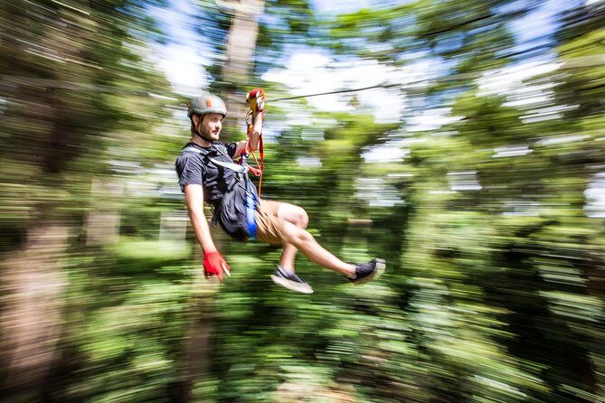 Sunshine Coast Adventure Park TreeTop Challenge - Who Will Love This?