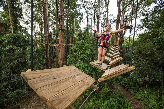 Sunshine Coast Adventure Park TreeTop Challenge - Final Words