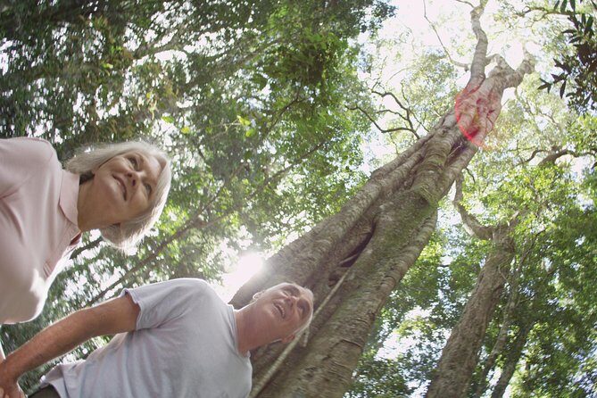 Sunshine Coast and Noosa Private Tour Inc. 2-Course Gourmet Lunch - Frequently Asked Questions