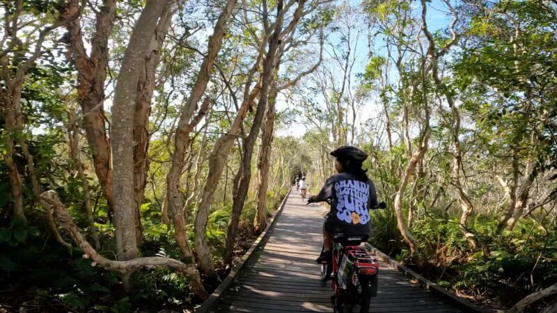 Sunshine Coast: Easy Peasy Novotel North E-Bike Tour - Discovering the Sunshine Coast on an E-Bike