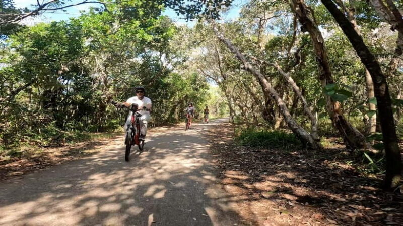 Sunshine Coast: Easy Peasy Novotel North E-Bike Tour - Detailed Breakdown of the Experience