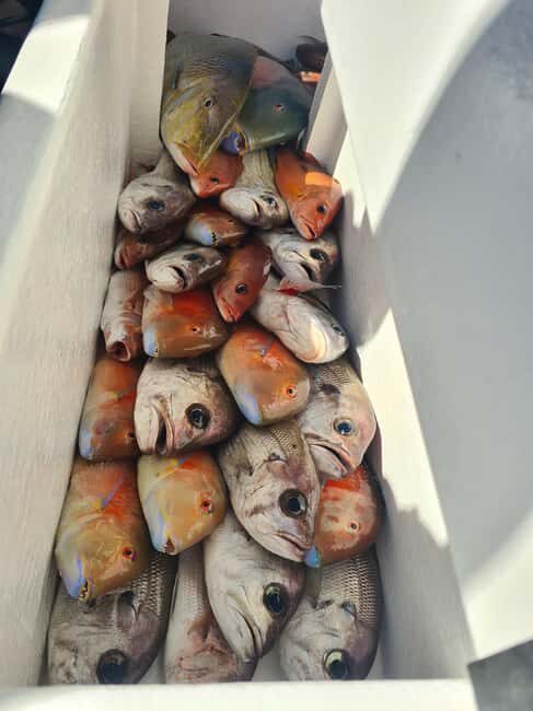 Sunshine Coast: Fishing Charters - Meeting at Pelican Waters Marina