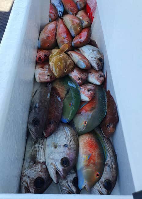 Sunshine Coast: Fishing Charters - Practical Details and Value