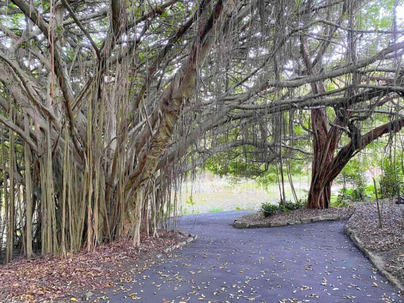 Sunshine Coast: Ginger Factory, Eumundi, & Botanic Gardens - Final Thoughts