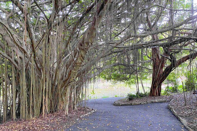 Sunshine Coast Hidden Country Delights Private Tour - Final Thoughts