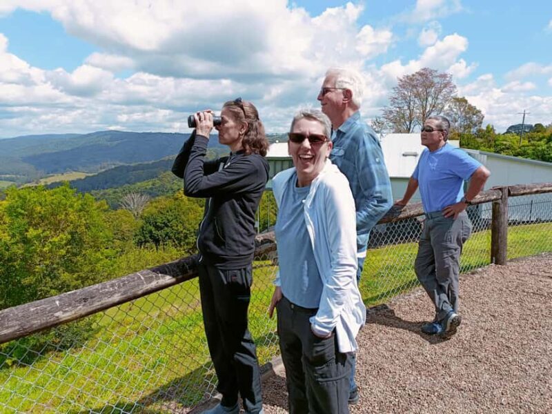 Sunshine Coast Hinterland Private Tour from Brisbane - The Sum Up: Is It Worth It?