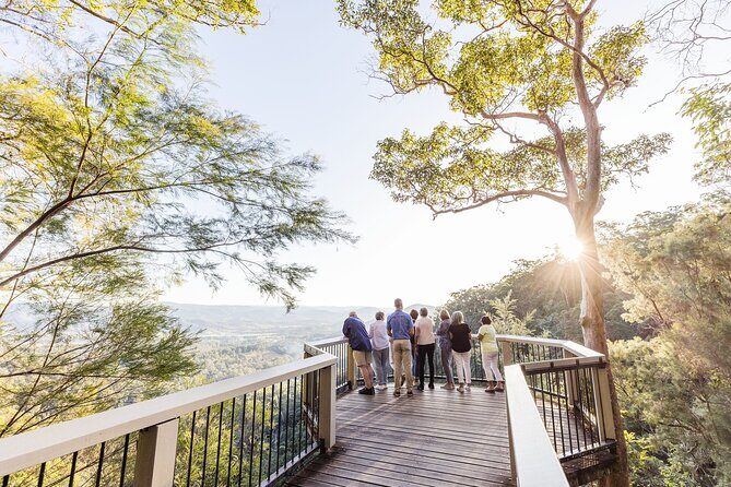 Sunshine Coast Hinterland Scenic Culinary Experience: Montville - Authentic Experiences That Make This Tour Shine