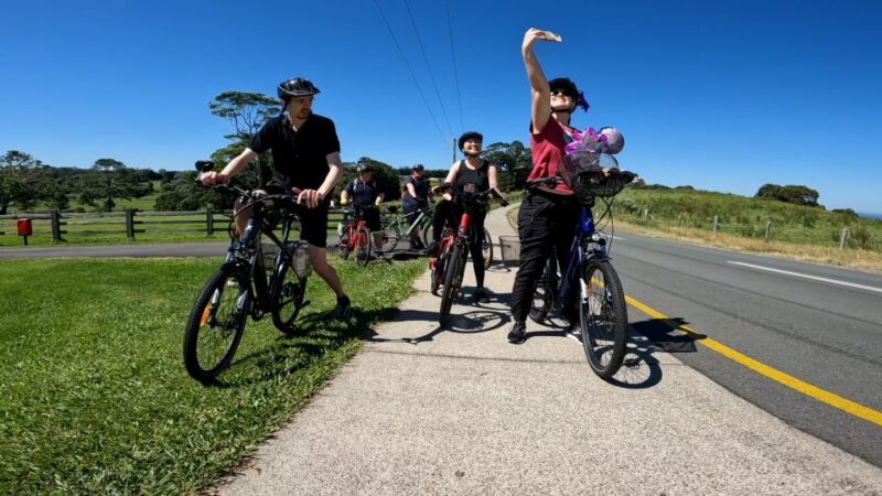 Sunshine Coast: Maleny Magic Guided e-Bike Tour - Who Will Love This Tour?