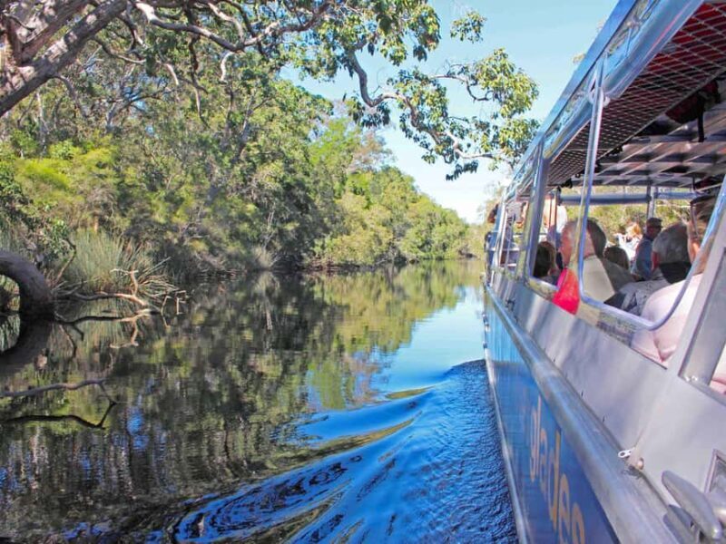 Sunshine Coast: Noosa Everglades, Hinterland & Boat Cruise - Noosa Everglades, Hinterland & Boat Cruise: A Detailed Review