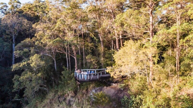 Sunshine Coast & Noosa Hinterland Scenic Culinary Experience - Authentic Experiences and Why They Matter