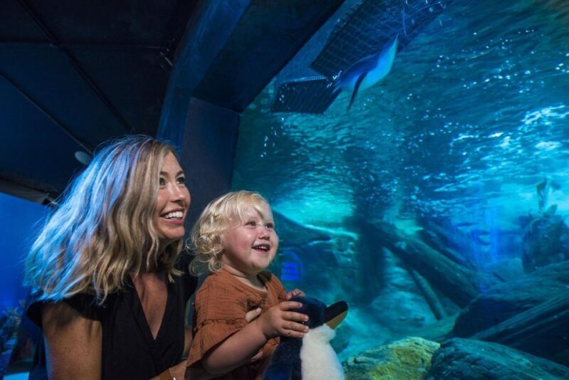Sunshine Coast: SEA LIFE Sunshine Coast Entry Ticket - Frequently Asked Questions