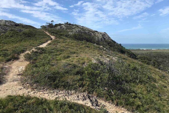 Sunshine Coast Seaside Explorer Private Tour with Lunch - Key Points