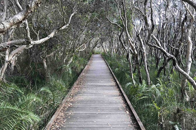 Sunshine Coast Seaside Explorer Private Tour with Lunch - Frequently Asked Questions