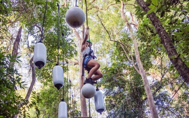 Sunshine Coast: Treetop Challenge Adventure Park - Key Points