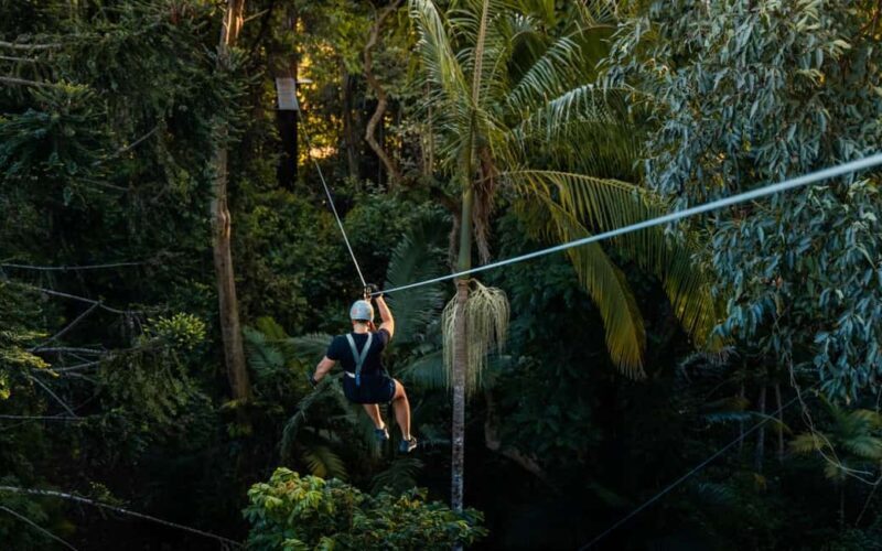 Sunshine Coast: Treetop Challenge Adventure Park - FAQ