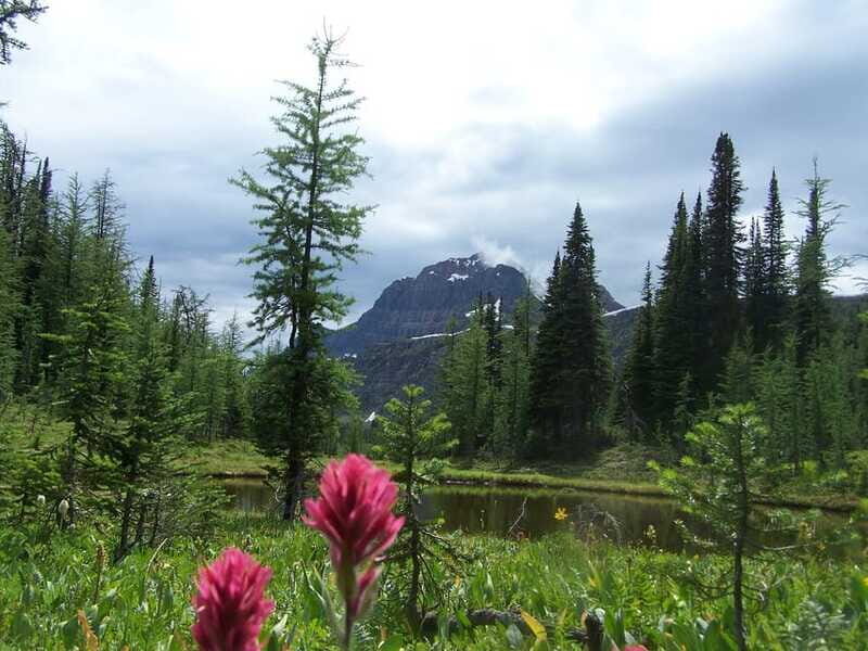 Sunshine Meadows Daily Guided Hike with Gondola - Authenticity and Personal Touch