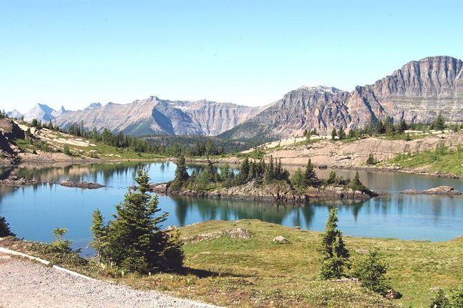 Sunshine Meadows Vistas - Guided Hike (Easy) - The Scenic Highlights: Why It’s Worth It