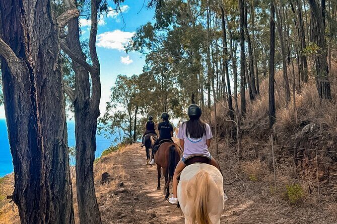 Sunshine Mountain Vista Horseback Trail Ride on Oahu - Final Thoughts