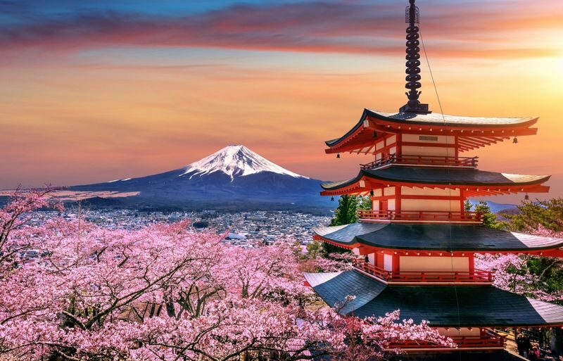 Suntory Whisky Museum & Forest Distillery Day Trip | Mt. Fuji New Arakurayama Sengen Park x Lake Kawaguchi Oishi Park x Departure from Tokyo - The drive from Tokyo and how the day flows