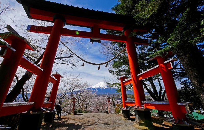 Suntory Whisky Museum & Forest Distillery Day Trip | Mt. Fuji New Arakurayama Sengen Park x Lake Kawaguchi Oishi Park x Departure from Tokyo - Is $84.15 good value?