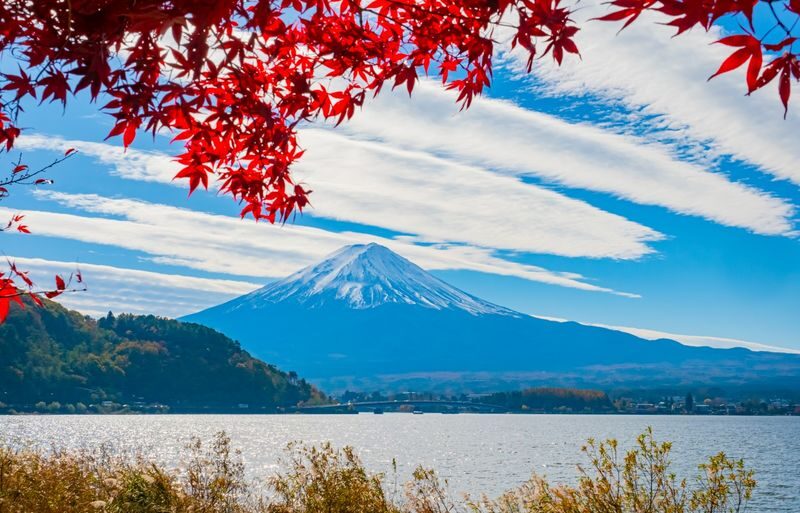 Suntory Whisky Museum & Forest Distillery Day Trip | Mt. Fuji New Arakurayama Sengen Park x Lake Kawaguchi Oishi Park x Departure from Tokyo - Who should book this tour?