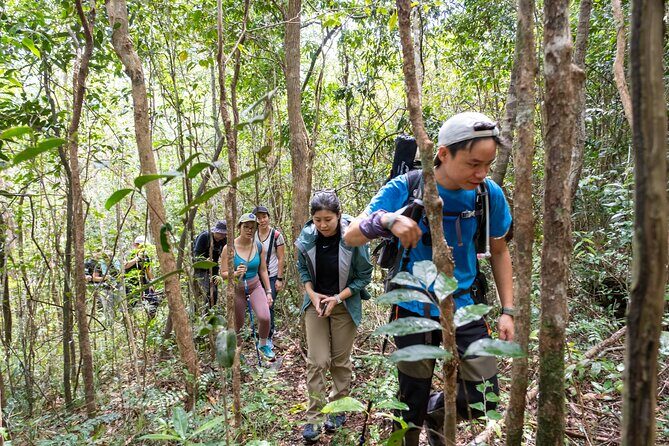 Suoi Tien 4-Hour Jungle Easy Trek and Spring Bath - Discover the Suoi Tien 4-Hour Jungle Trek and Spring Bath Experience