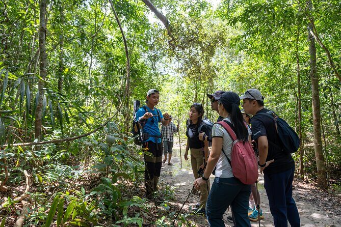 Suoi Tien 4-Hour Jungle Easy Trek and Spring Bath - Key Points