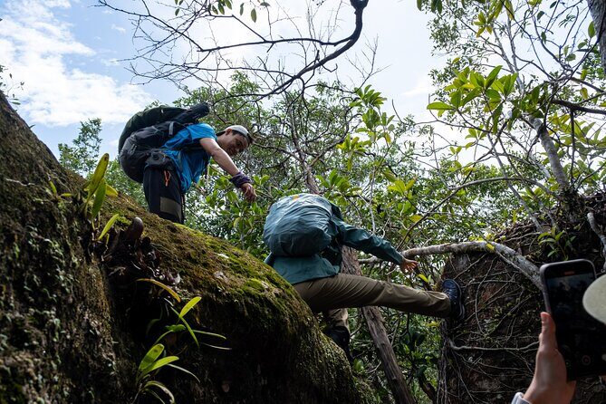 Suoi Tien 4-Hour Jungle Easy Trek and Spring Bath - Final Thoughts: The Value and Experience