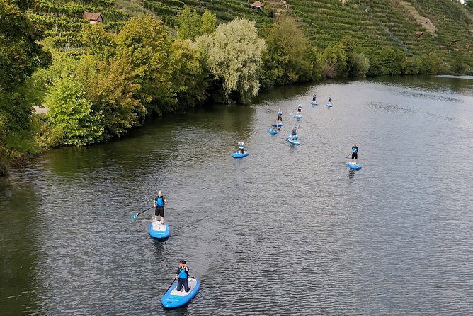 SUP BASIC COURSE Stuttgart Neckar Stand Up Paddling / Paddling Adventure Jones Tours - The Sum Up: Why You Should Consider This SUP Course