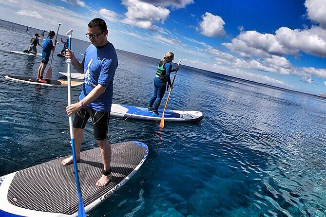 Sup Experiences in the ocean - Who Will Love This Tour?