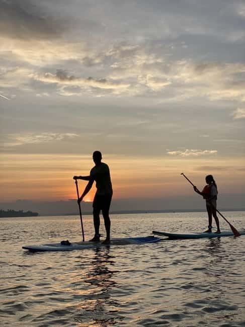 SUP in Kochi: Sunrise Stand-Up Paddleboarding Tour - FAQs about the Kochi Sunrise Paddleboarding Tour