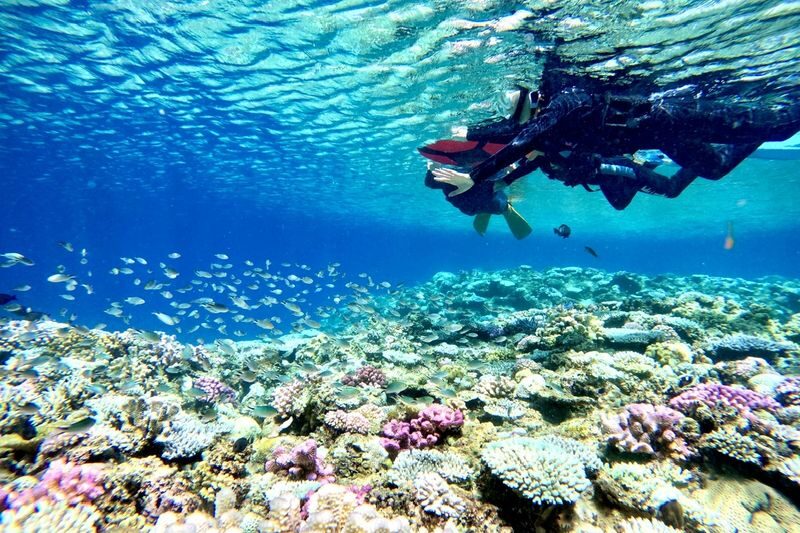 SUP, Kayak & Blue Cave Snorkeling Experience at Okinawas Natural Beach (Free Photos) - A quieter shore at Momenbara Beach
