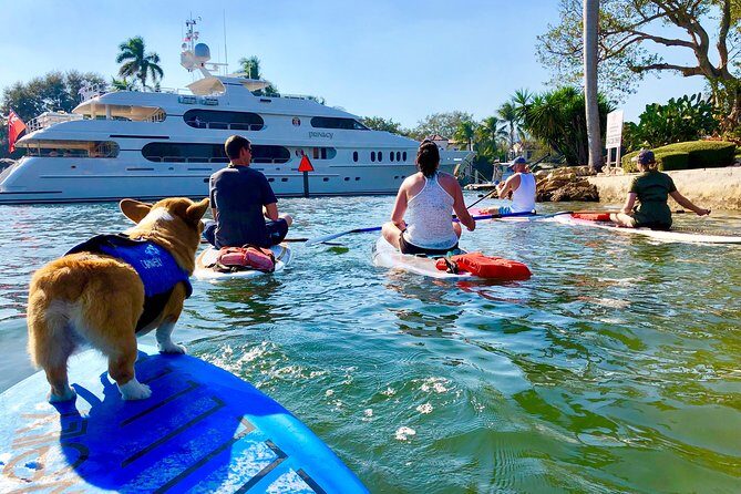 SUP PUP Paddleboard Tour - Exploring Fort Lauderdale on a Paddleboard