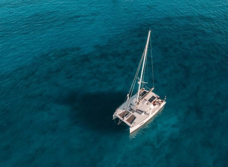 SUP Safari - Catamaran Cruise Dia Island & Gourmet Delights! - Key Points