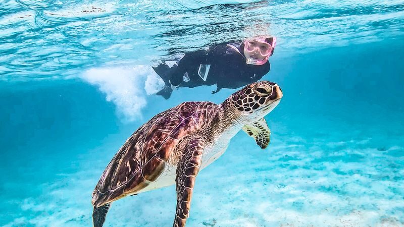 SUP & Sea Turtle Snorkeling (Miyako Island) - Guides, photos, and what is included