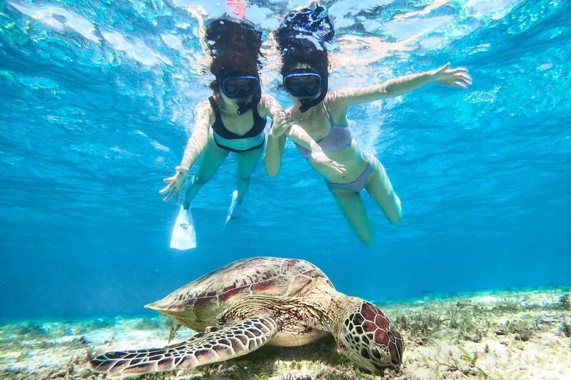 SUP & Sea Turtle Snorkeling (Miyako Island) - What the three hours look like