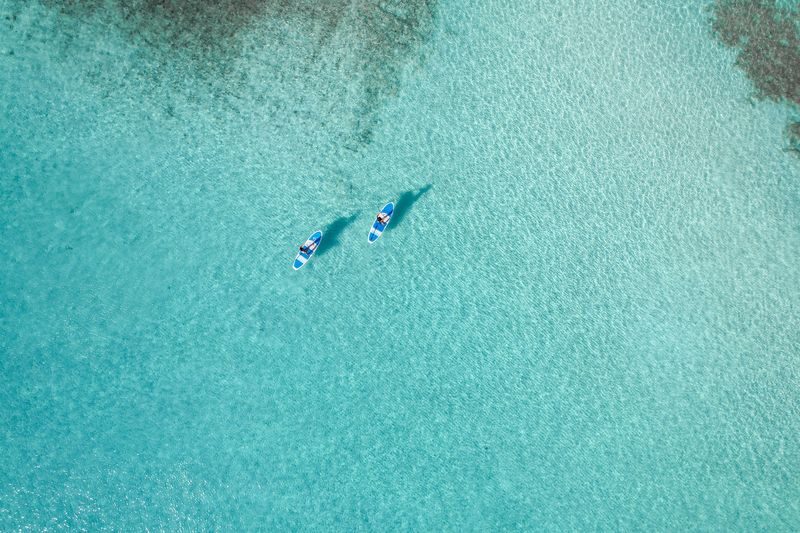 SUP & Sea Turtle Snorkeling (Miyako Island) - Should you book?