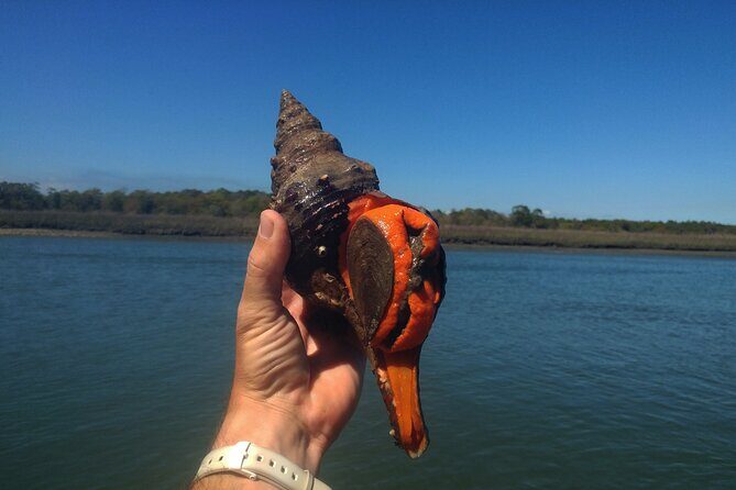 SUP (stand-up paddboard) Salt Marsh Maze Tour - Who Should Book This Tour?