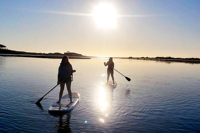 SUP (stand-up paddboard) Salt Marsh Maze Tour - Final Thoughts: Is This Tour Worth It?