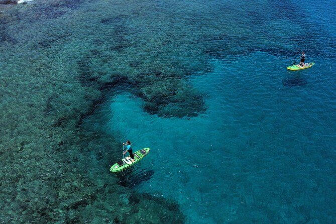 SUP Standup Paddling and Snorkeling Shared Experience - Exploring Lanzarote’s Waters: SUP Standup Paddling and Snorkeling Shared Experience