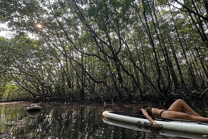 SUP Tour in Mangrove Forest of Koh Rong Sanloem - Concluding Thoughts on the Koh Rong Sanloem Mangrove SUP Tour