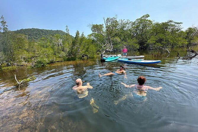 SUP Tour in Mangrove Forest of Koh Rong Sanloem - FAQ: Your Questions About the Mangrove SUP Tour