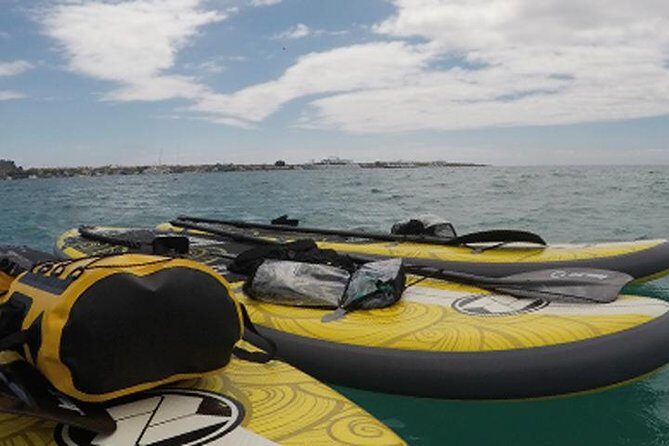 SUPER BAY - Key Points