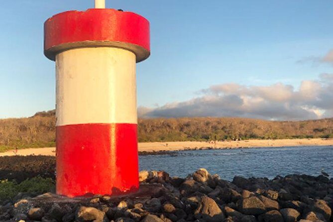 SUPER BAY - Why This Tour Works Well