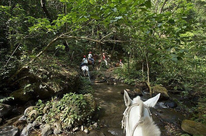 SUPER COMBO BUENA VISTA: 7 Activities 1 day + Cultural experience - FAQ